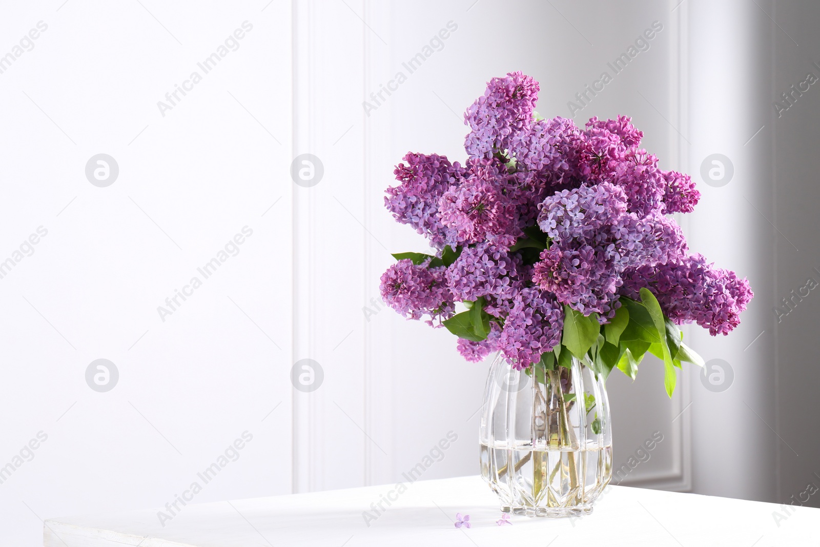 Photo of Beautiful lilac flowers in vase on white table near wall, space for text