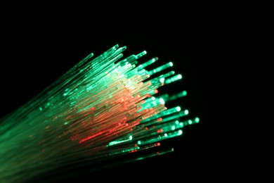 Photo of Optical fiber strands transmitting different color lights on black background, macro view. Space for text