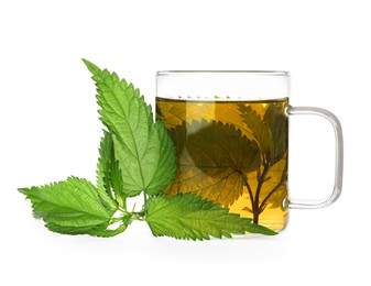 Photo of Glass cup of aromatic nettle tea and green leaves on white background