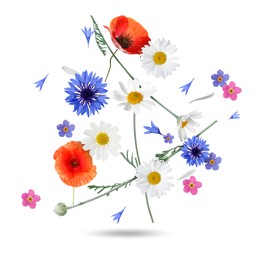 Image of Beautiful meadow flowers falling on white background