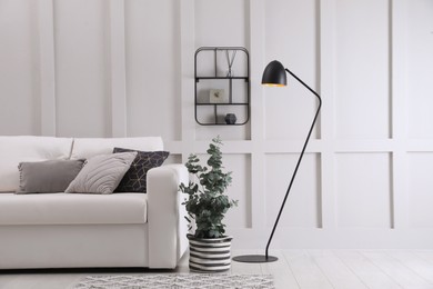 Photo of Living room with stylish sofa, beautiful eucalyptus and decorative elements. Interior design