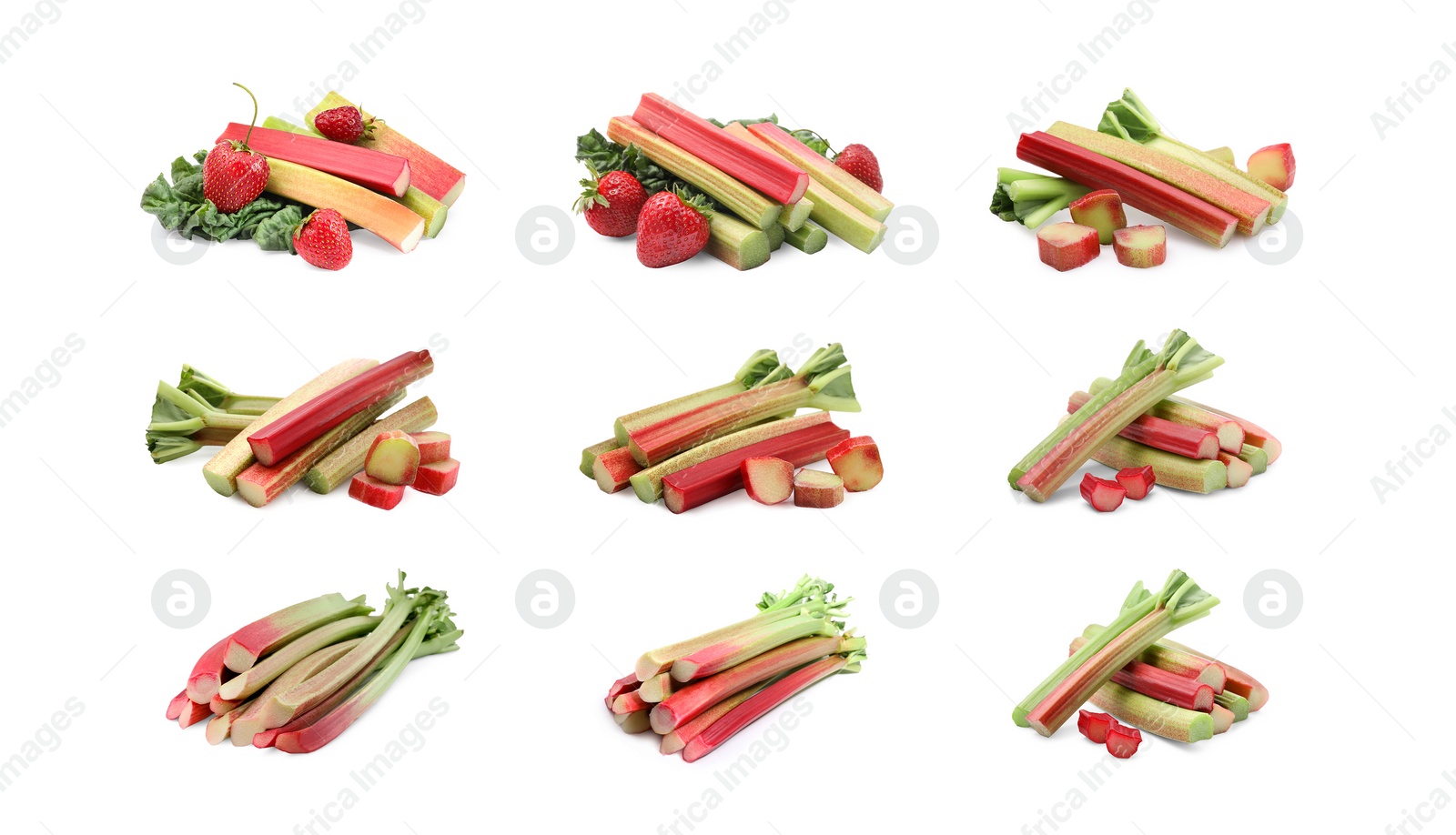 Image of Set with fresh rhubarb stalks isolated on white