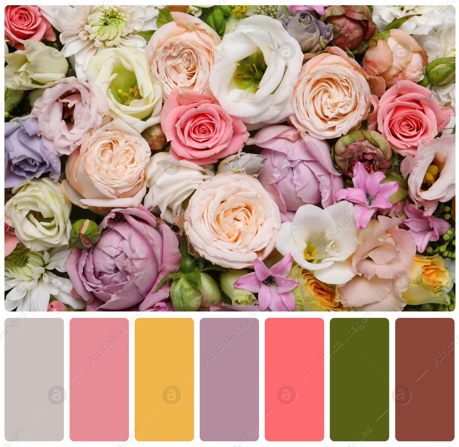 Image of Beautiful fresh flowers and color palette. Collage
