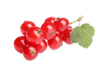 Photo of Fresh ripe redcurrants and green leaf isolated on white