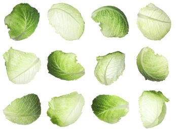 Set with fresh leaves of savoy cabbage on white background