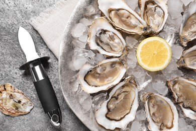 Delicious fresh oysters with lemon served on grey table, flat lay