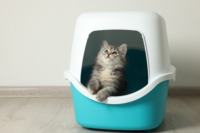 Photo of Cute fluffy kitten in closed litter box at home, space for text