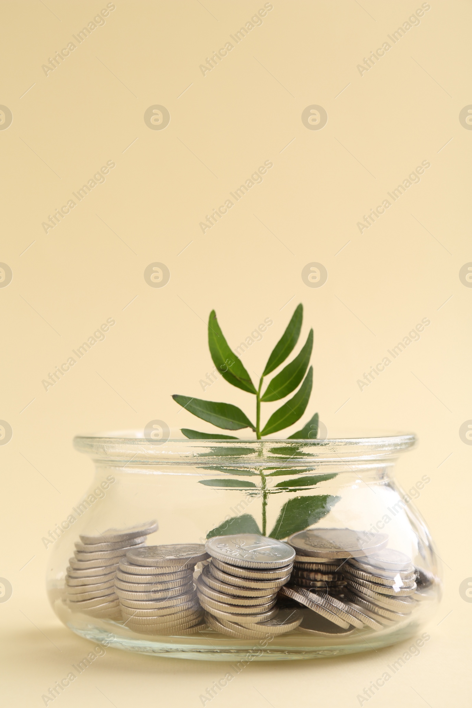 Photo of Financial savings. Coins and twig in glass jar on beige background