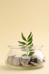 Financial savings. Coins and twig in glass jar on beige background