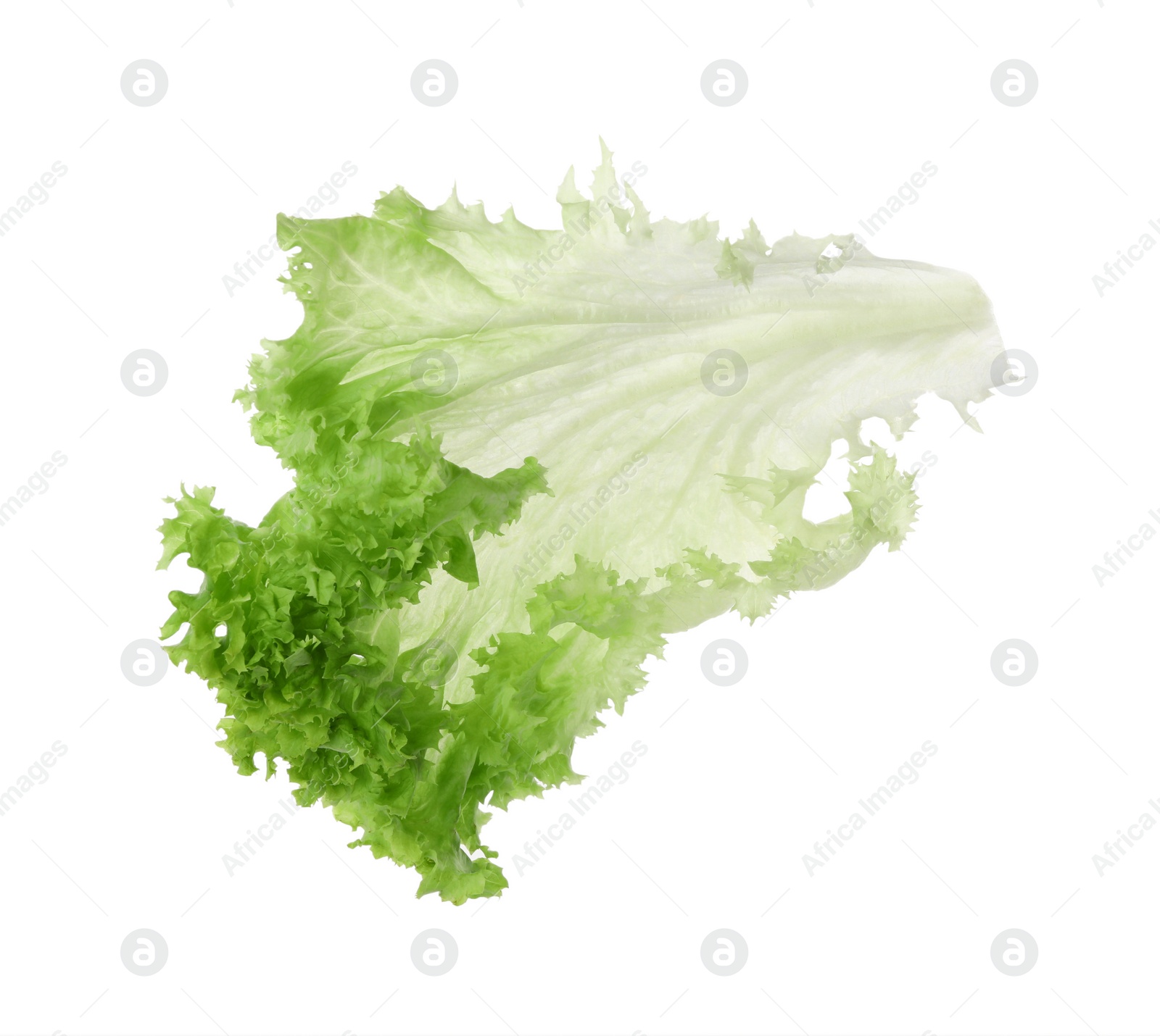 Photo of Fresh green lettuce leaf isolated on white