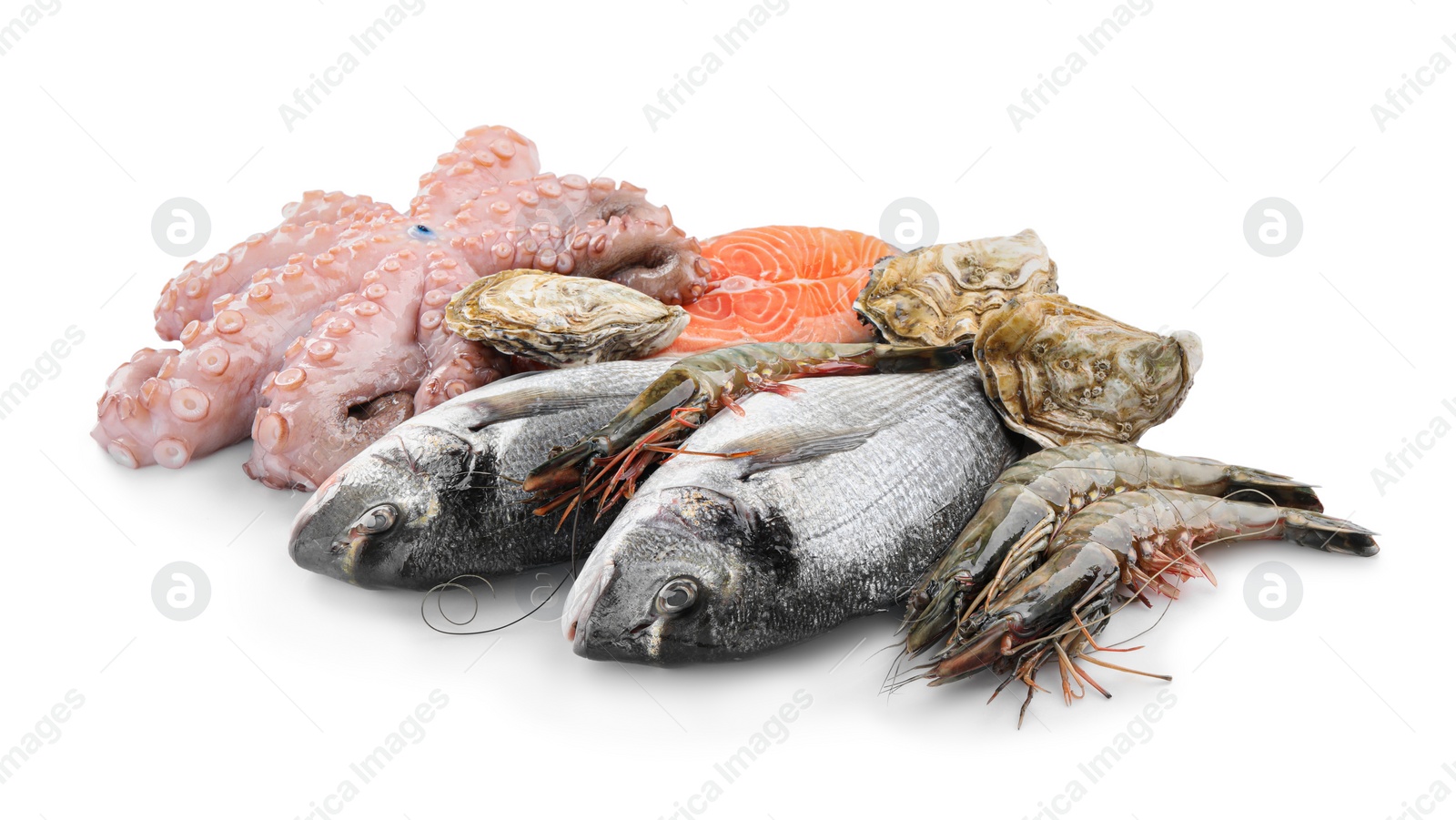 Photo of Fresh dorado fish, octopus, shrimps, oysters and salmon on white background