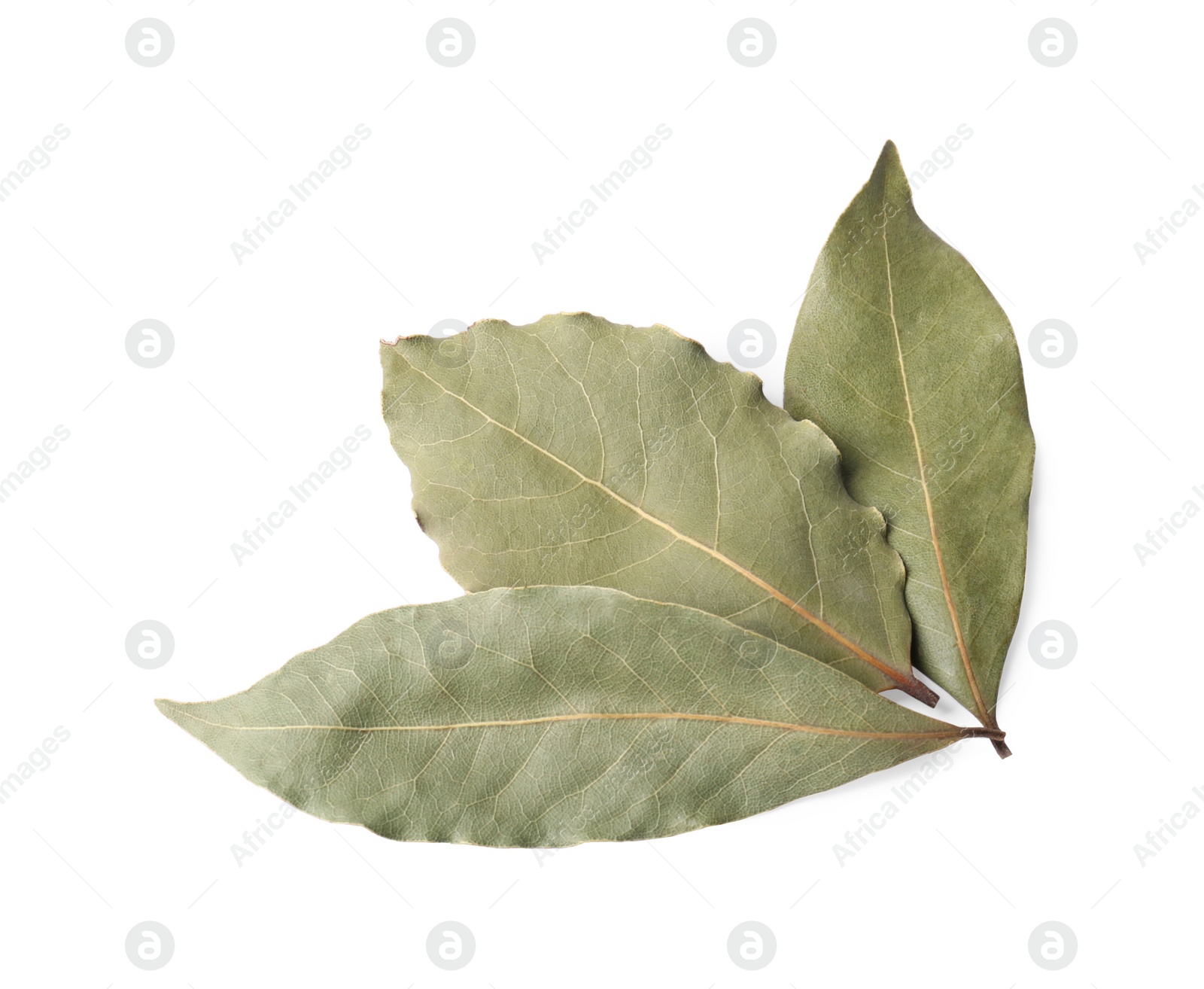 Photo of Aromatic bay leaves on white background, top view