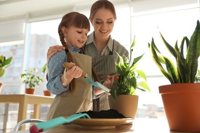 Mother and daughter taking care of home plants at table indoors