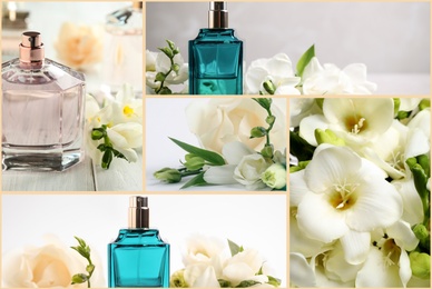 Image of Creative collage with photos of luxury perfume and beautiful flowers on color backgrounds 