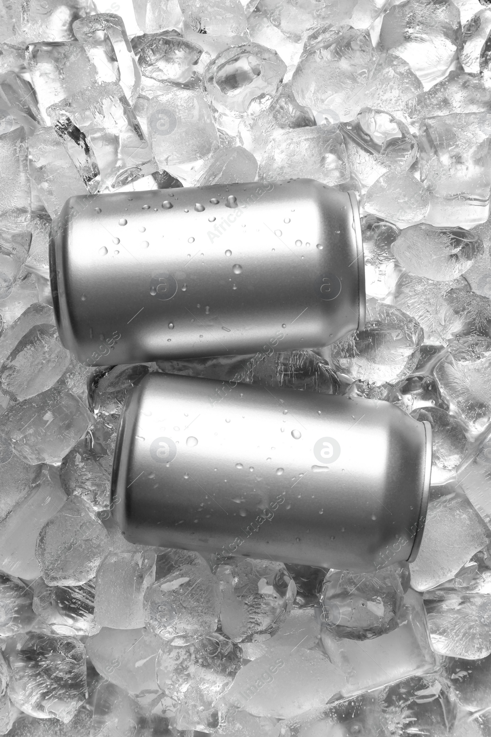 Photo of Tin cans on ice cubes, flat lay