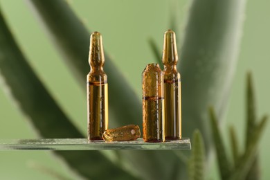 Wet skincare ampoules near aloe vera on light green background, closeup