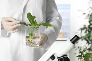 Photo of Lab assistant holding plant in beaker indoors, closeup with space for text. Biological chemistry