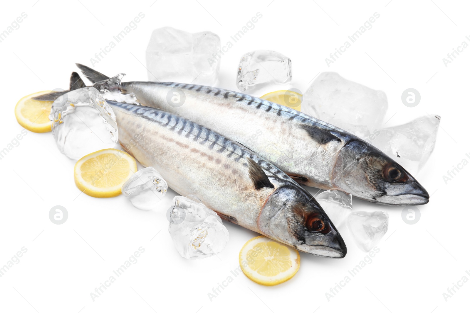Photo of Two raw mackerels and lemons isolated on white