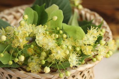 Fresh linden leaves and flowers in wicker basket on table, closeup