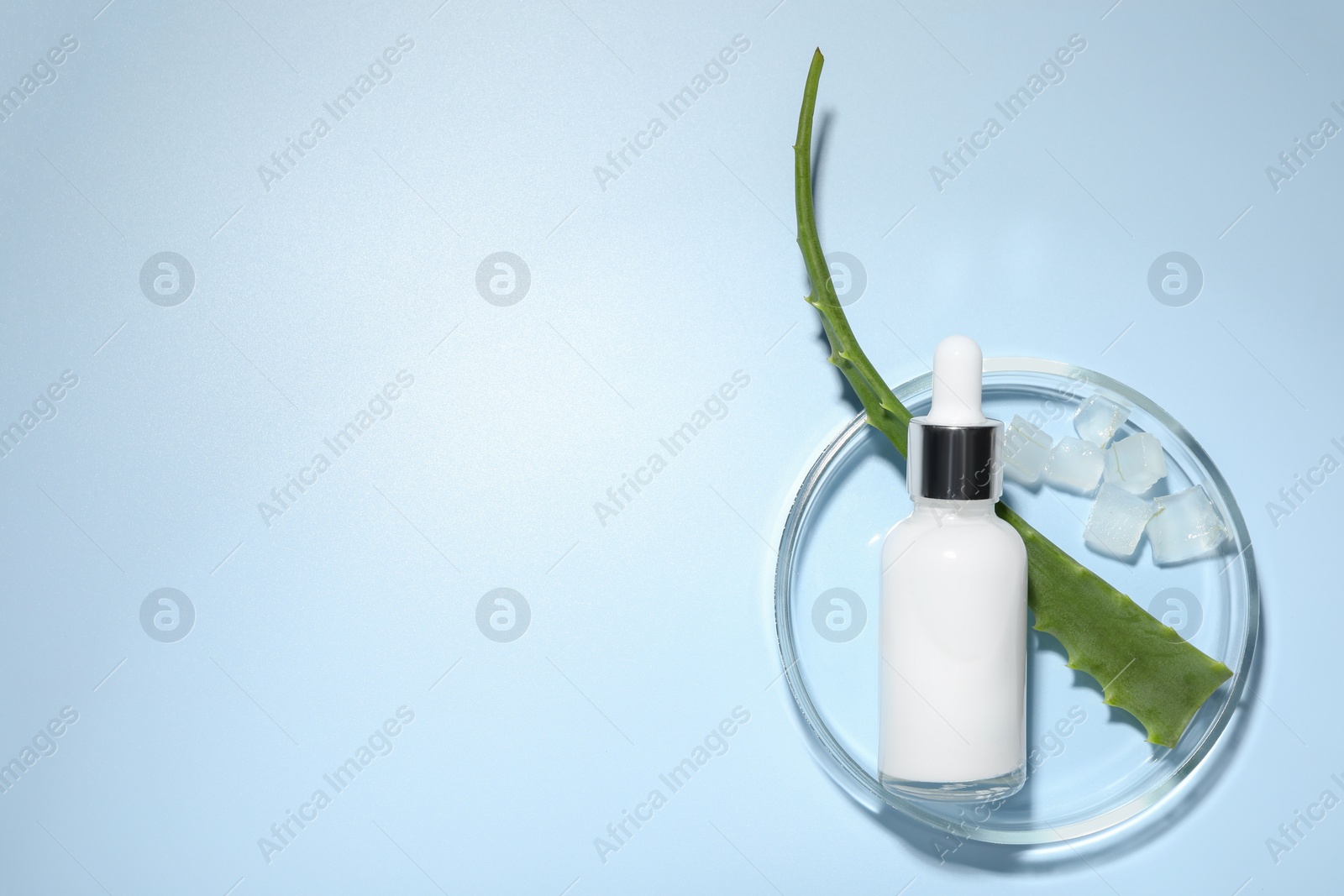 Photo of Petri dish with cosmetic product and aloe vera on light blue background, flat lay. Space for text