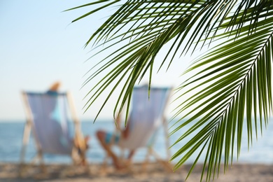 Palm branches and couple in beach chairs on background