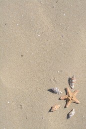 Photo of Beautiful starfish and sea shells on sandy beach, above view. Space for text