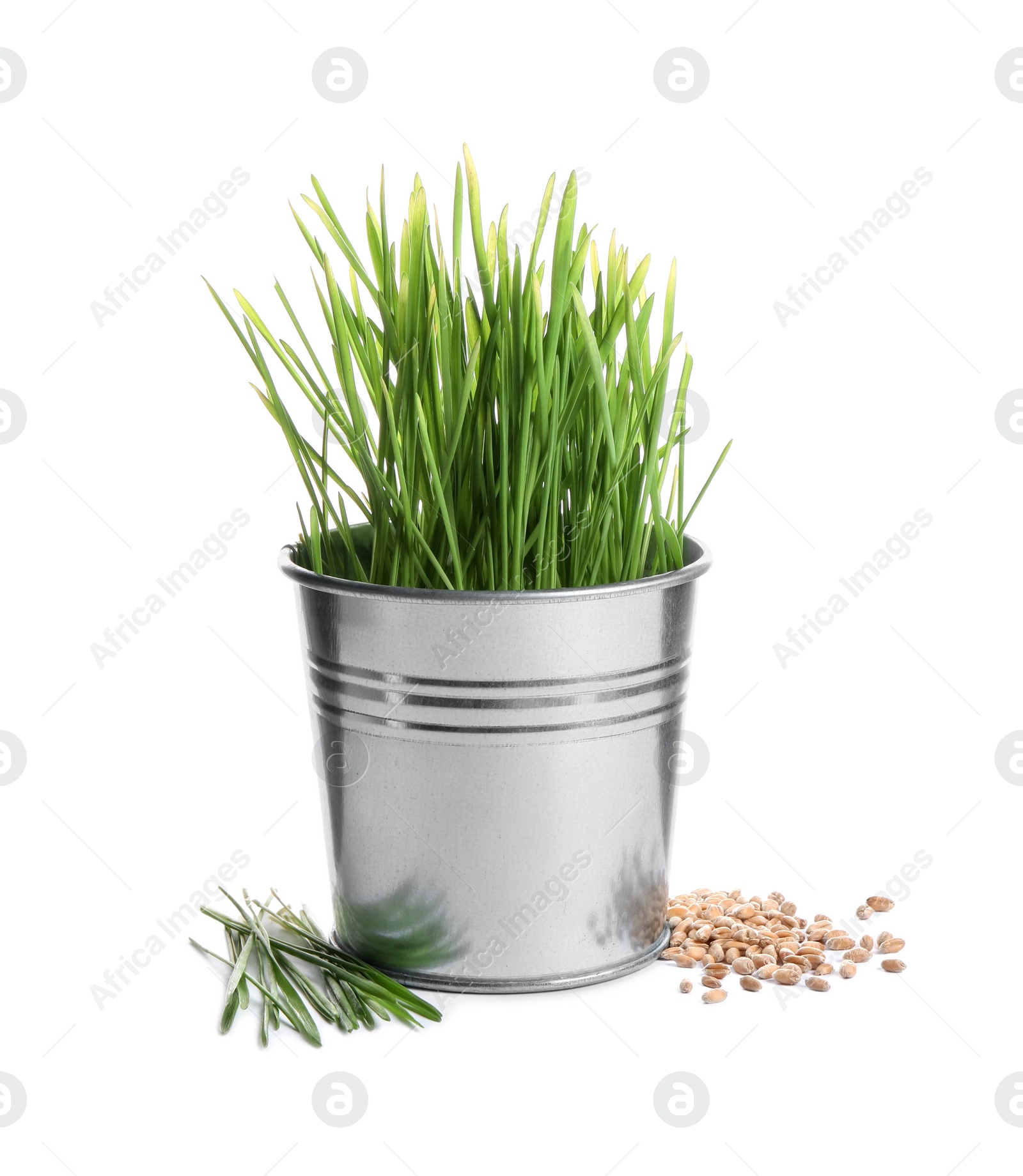 Photo of Potted wheat grass, fresh sprouts and seeds isolated on white