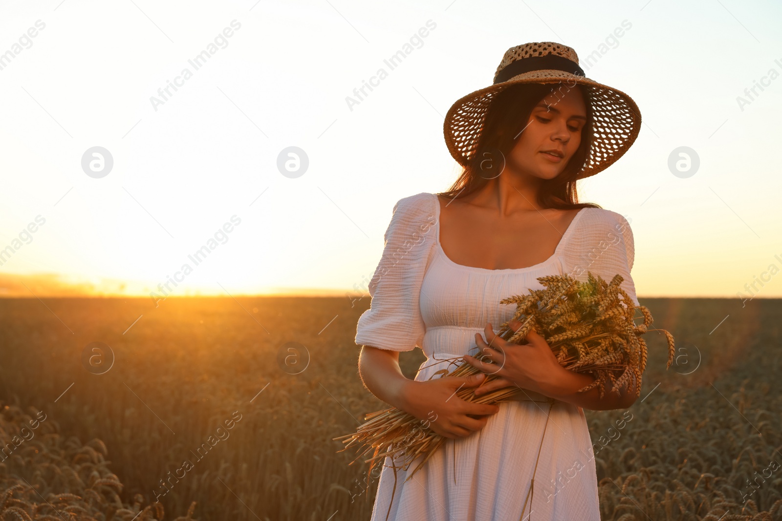 Photo of Beautiful young woman with bunch of wheat ears in field on sunny day, space for text