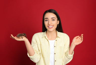 Woman holding striped knee tarantula on red background. Exotic pet