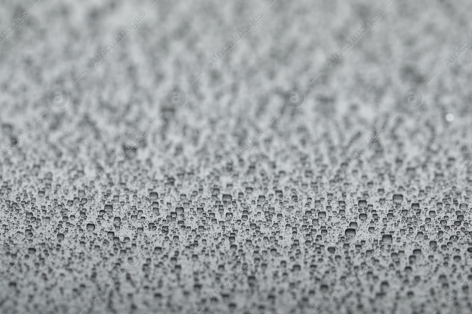 Photo of Water drops on light grey background, closeup view