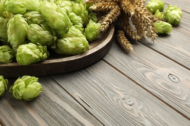 Tray with fresh green hops and wheat ears on wooden table, space for text