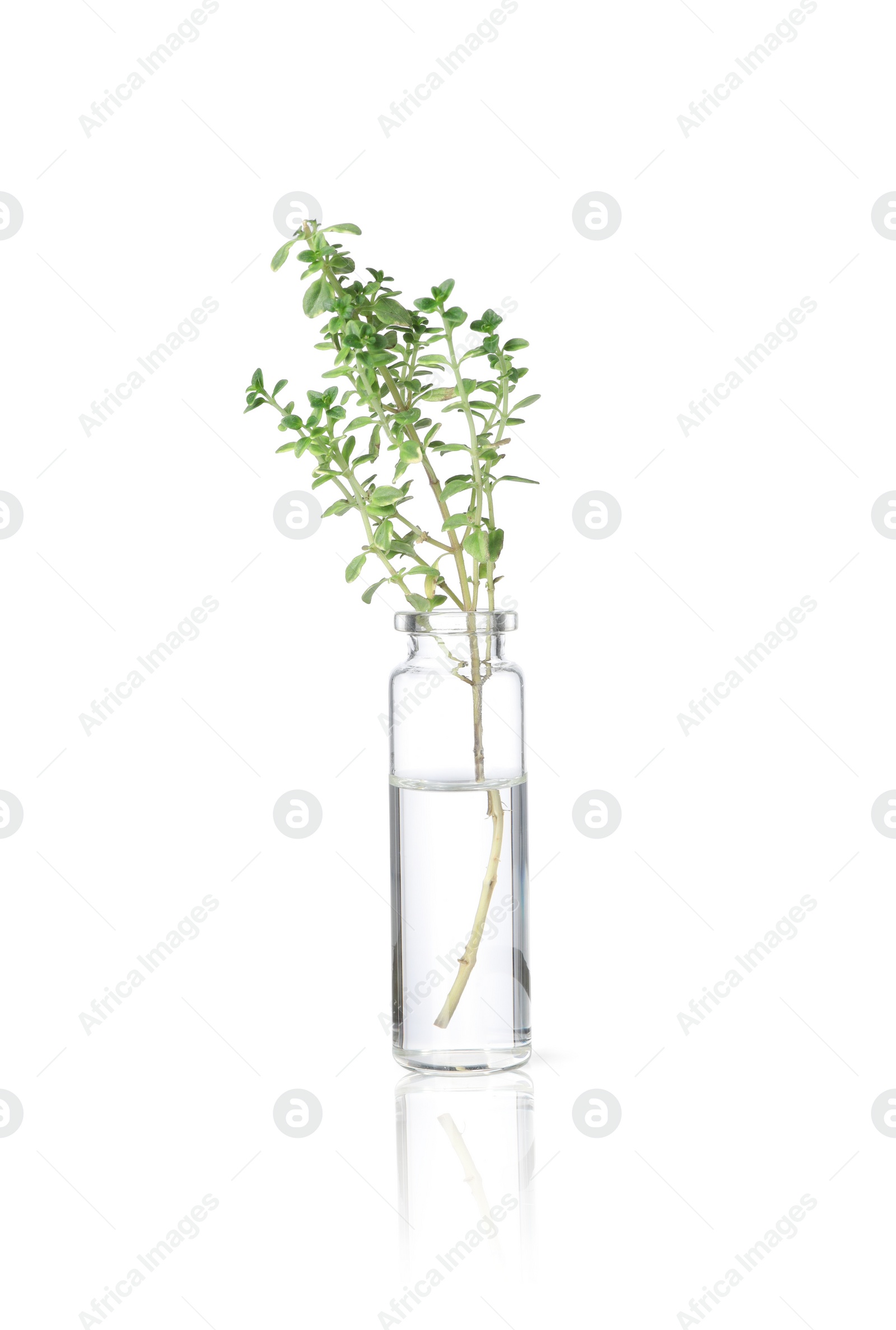 Photo of Bottle with essential oil and thyme isolated on white