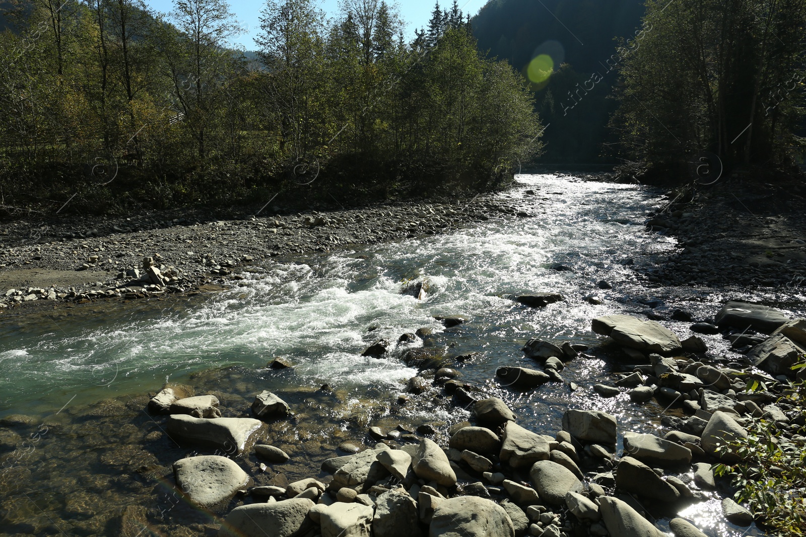 Photo of Mountain river flowing on sunny day. beautiful landscape