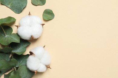 Photo of Cotton flowers and eucalyptus leaves on beige background, flat lay. Space for text