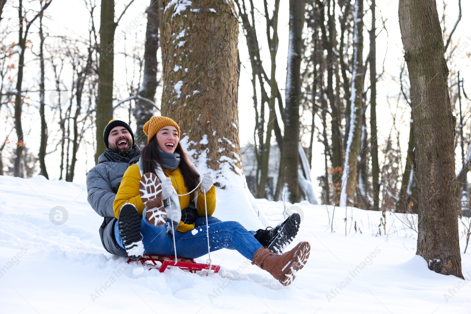 Photo of Happy young couple sledding outdoors on winter day