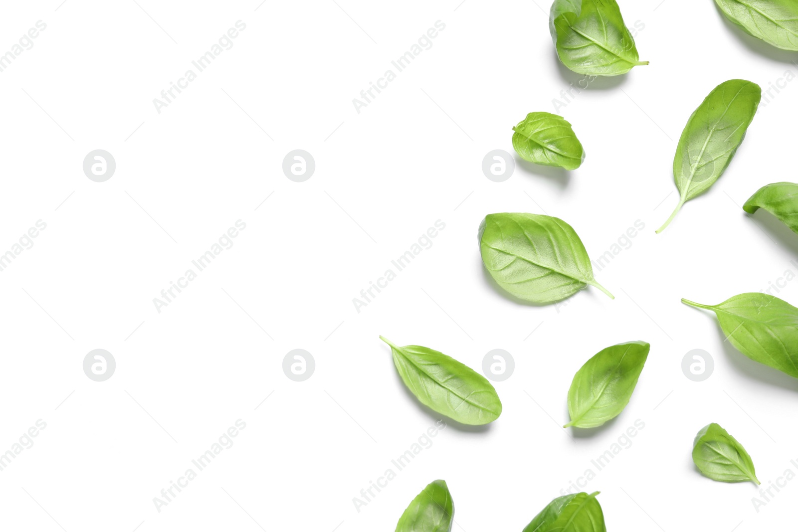 Photo of Fresh green basil leaves on white background, top view