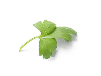 Photo of Fresh green organic parsley on white background