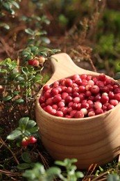 Many tasty ripe lingonberries in wooden cup outdoors