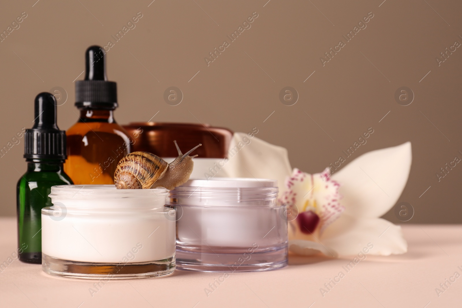 Photo of Organic cosmetics made with mucin, snail and beautiful flower on table. Space for text