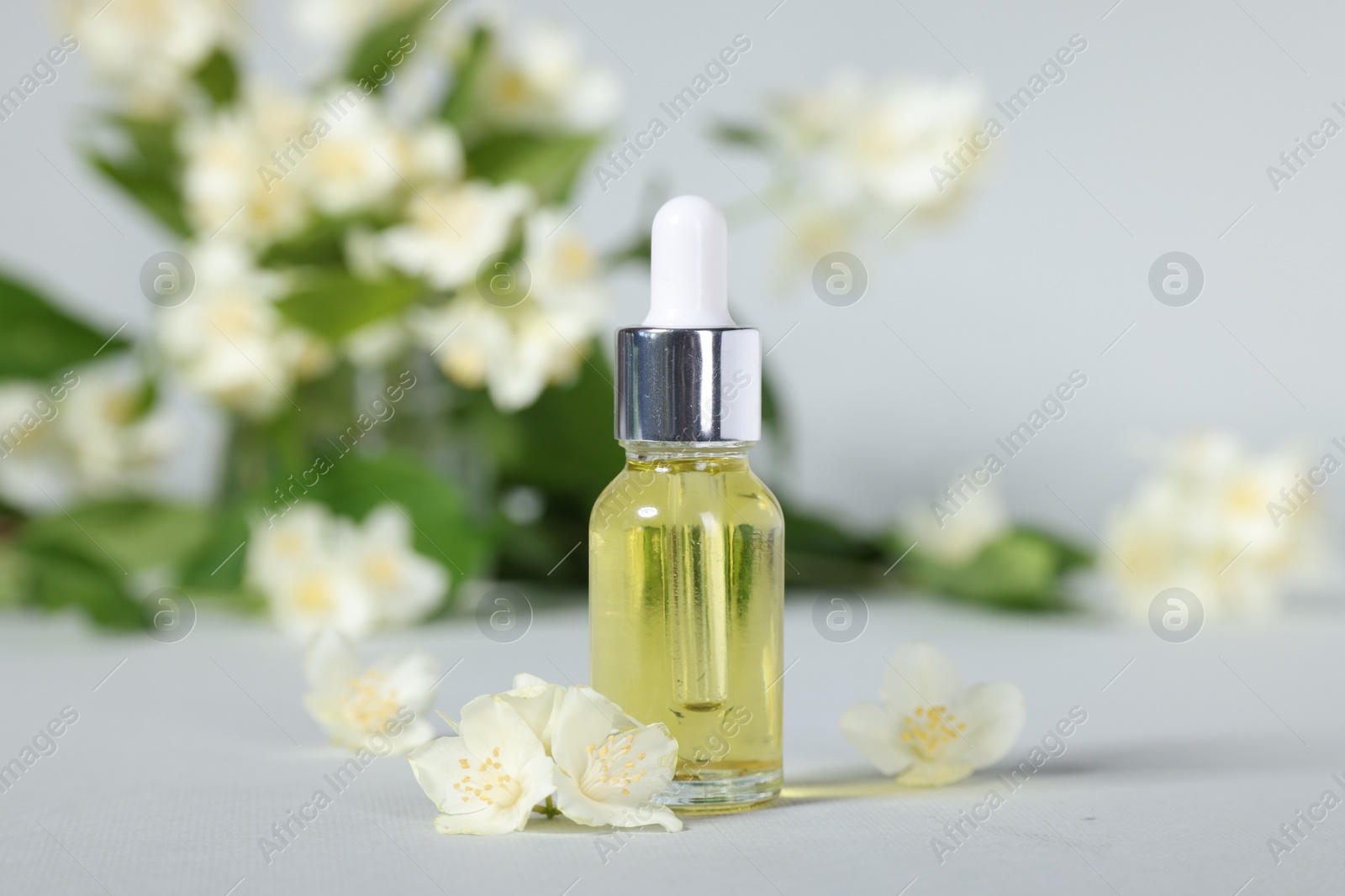 Photo of Essential oil in bottle and beautiful jasmine flowers on grey background, closeup