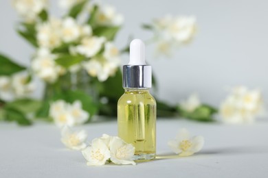 Essential oil in bottle and beautiful jasmine flowers on grey background, closeup