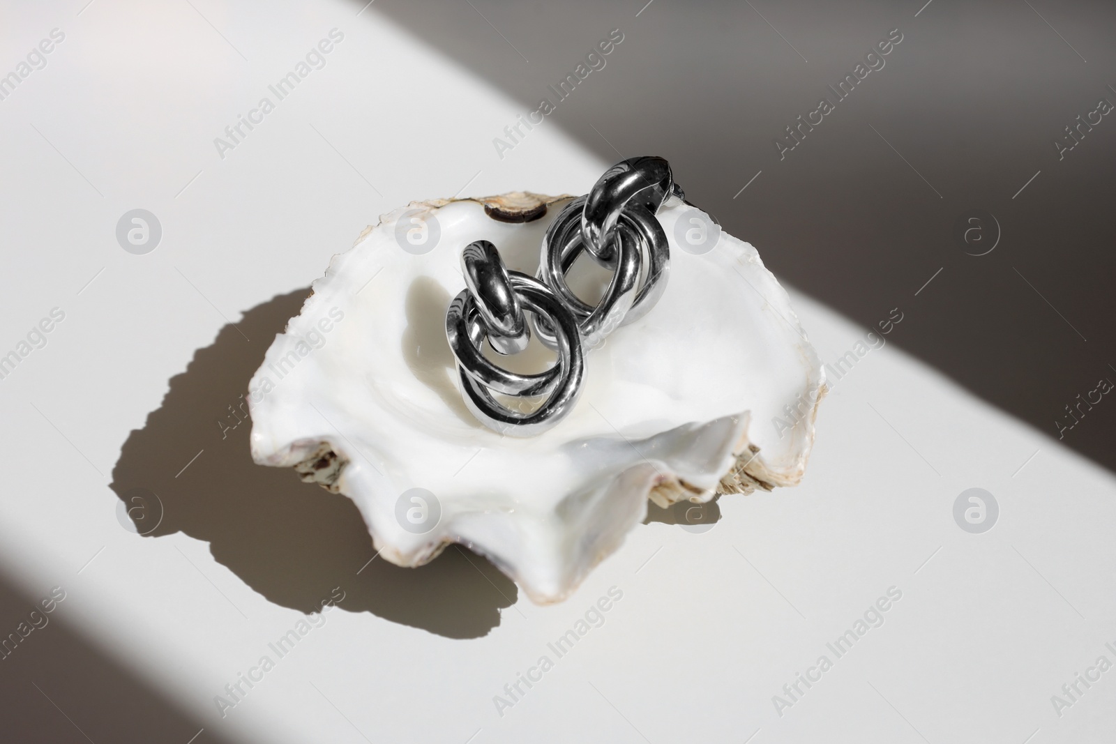 Photo of Stylish metal earrings in seashell on white table