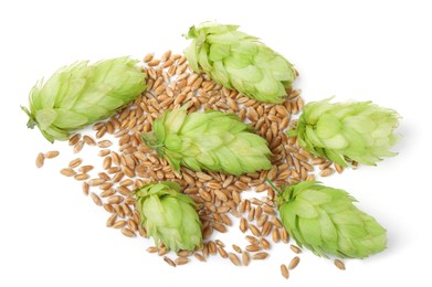 Fresh green hops and wheat grains on white background, top view