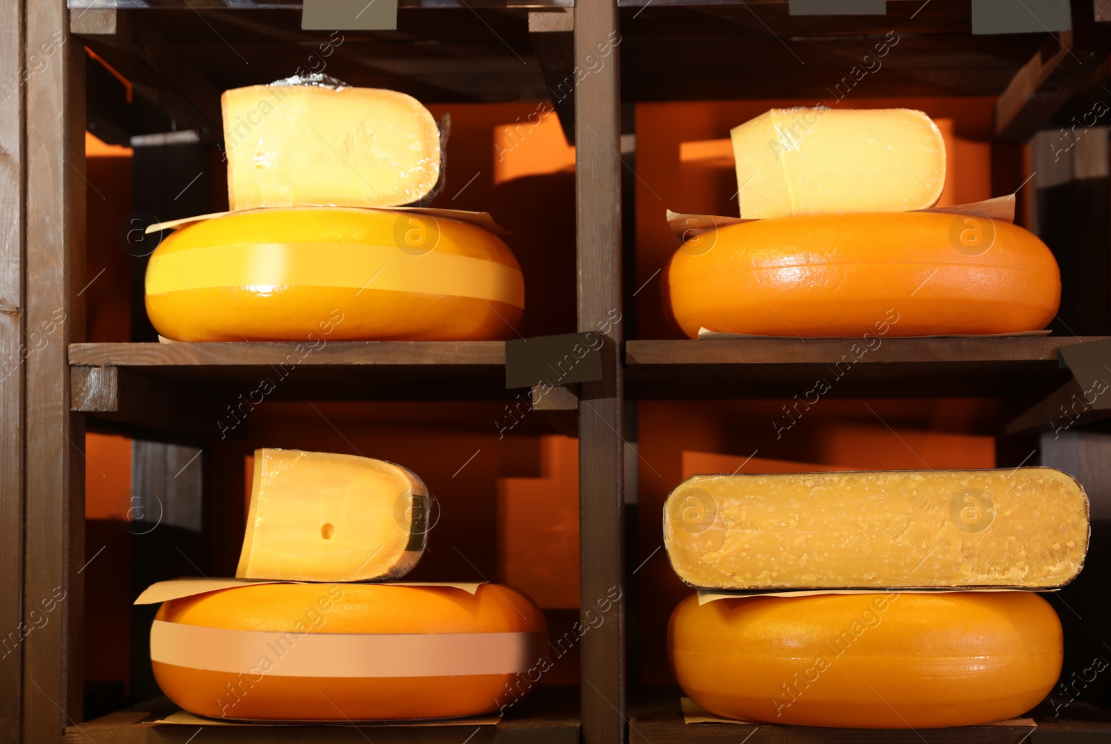 Photo of Different types of delicious cheeses on rack in store