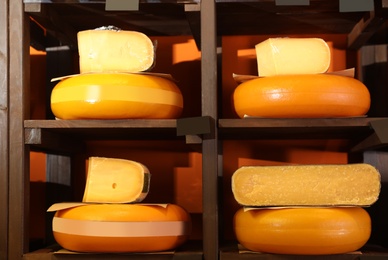 Different types of delicious cheeses on rack in store