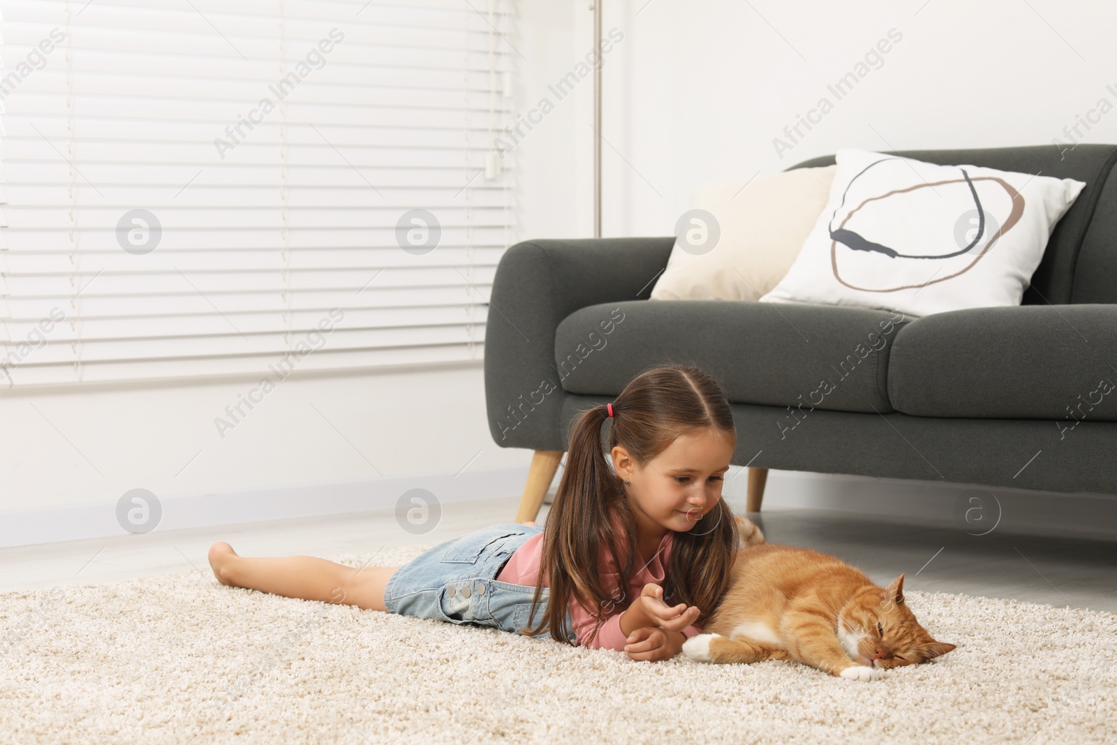 Photo of Little girl and cute ginger cat on carpet at home, space for text