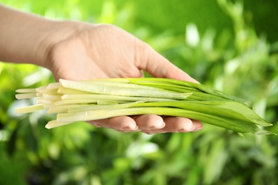 Photo of Woman holding fresh wild garlic or ramson on blurred background, closeup