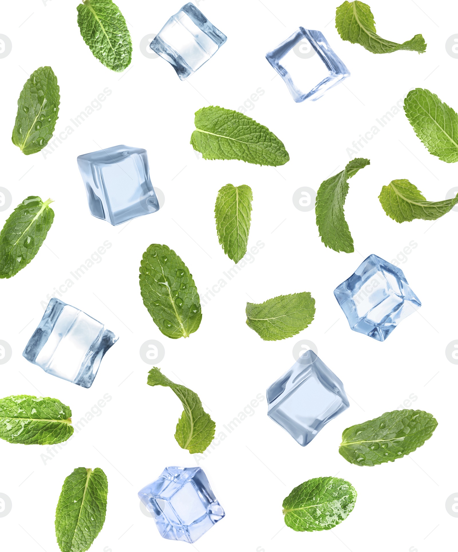 Image of Falling green mint leaves and crystal clear ice cubes on white background