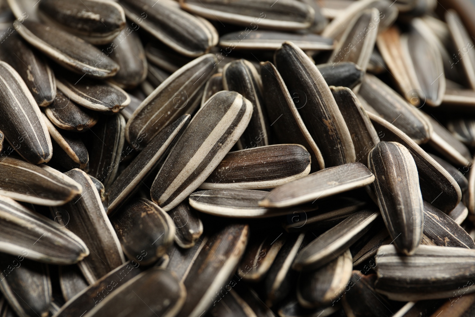 Photo of Raw sunflower seeds as background, closeup view