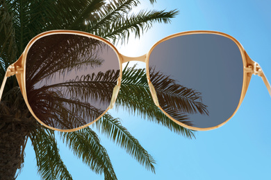 Palm with lush green foliage on sunny day, view through sunglasses